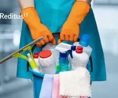 Valytoja – darbas Norvegijoje (1863)