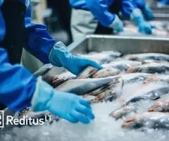 Žuvies fabriko darbuotojai  – darbas Norvegijoje (1867)