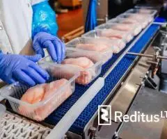 Gamybos darbuotojas – darbas Olandijoje (1874)