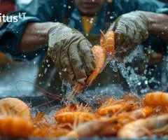 Žvejys - kapitono padėjėjas – darbas Norvegijoje (1887)