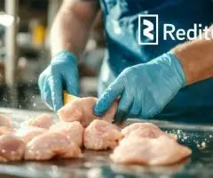 Produkcijos darbuotojai (vištienos fabrikas) - darbas Norvegijoje (1902)