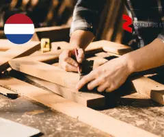 Staliai apdailininkai – darbas Olandijoje (1917)