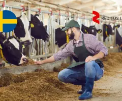 Gyvulininkystės ūkio darbuotojai – darbas Švedijoje (1944)