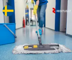 Valytoja – darbas Švedijoje (1947)