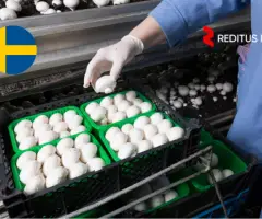 Ūkio darbuotojas (grybų ferma) – darbas Švedijoje (1949)