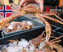 Produkcijos darbuotojai (krabai) – darbas Norvegijoje (2013)